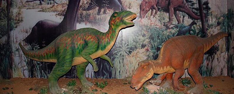Clasificación de dinosaurios por alimentación, naturaleza y tamaño Clasificación de dinosaurios por alimentación, naturaleza y tamaño