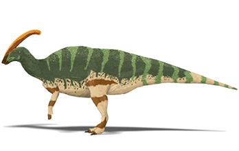 Parasaurolophus