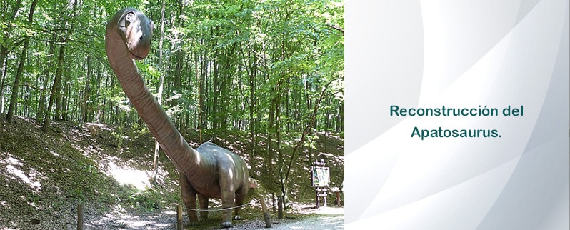 Reconstruccion Apatosaurus