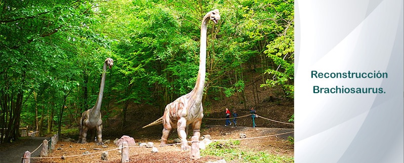 Reconstruccion Brachiosaurus