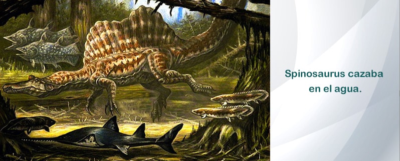 Spinosaurus Alimentacion