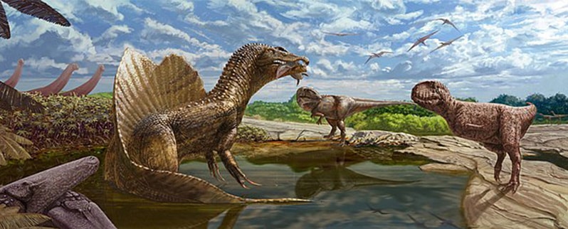 Spinosaurus Caza