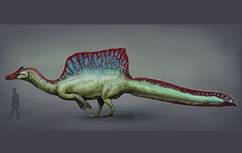 Spinosaurus