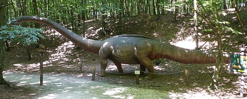 Tamaño Apatosaurus