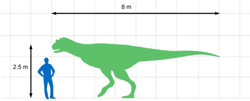 Tamaño Carnotaurus