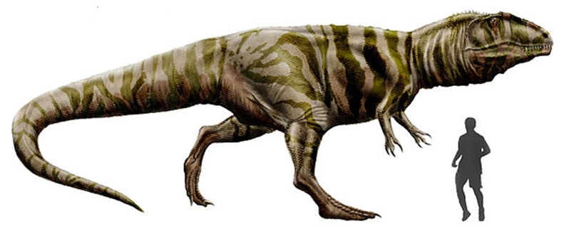 Tamaño Giganotosaurus