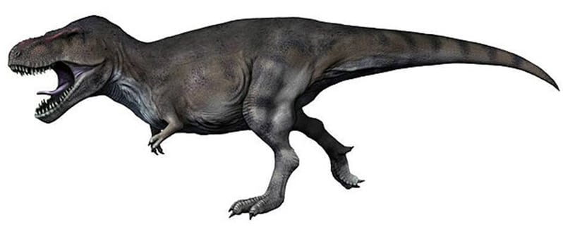 Tyrannosaurus Rex