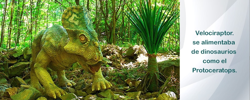 Velociraptor Alimentacion