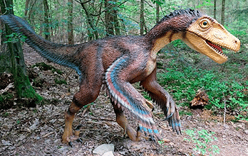 ⊛ Velociraptor ⊛ Velociraptor
