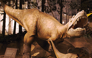 Albertosaurus