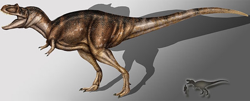 Albertosaurus
