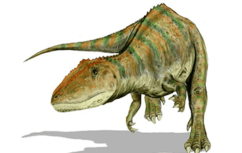 Carcharodontosaurus