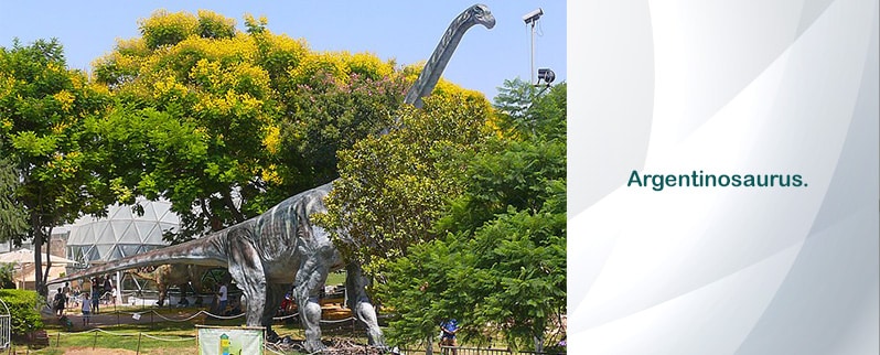 Carcharodontosaurus Vs Argentinosaurus