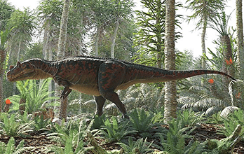 Ceratosaurus