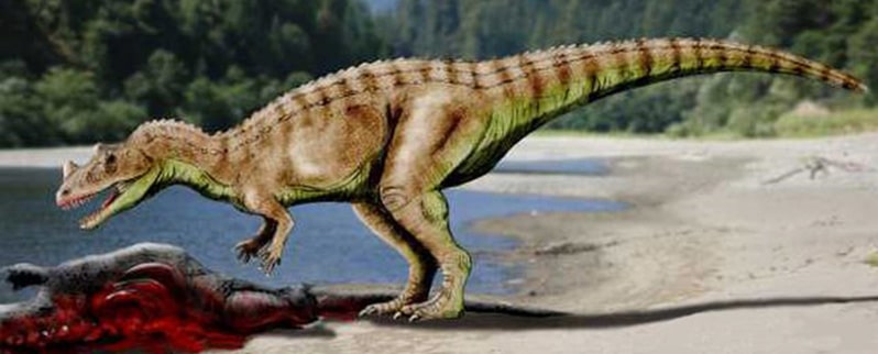 Ceratosaurus