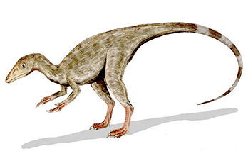 Compsognathus