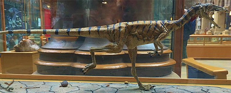 Compsognathus Modelo