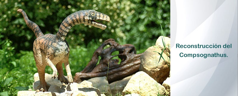 Compsognathus Reconstruccion