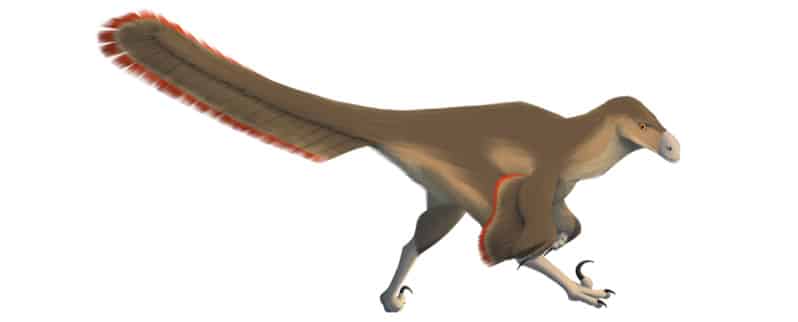 ⊛ Dinosaurios Carnívoros ⊛ Dinosaurios Carnívoros