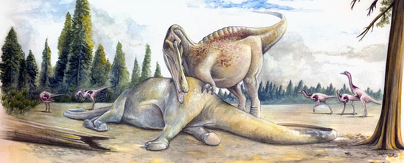 ⊛ Dinosaurios Carnívoros ⊛ Dinosaurios Carnívoros