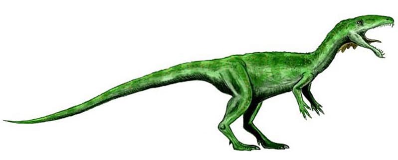 Dinosaurios Grandes Depredador
