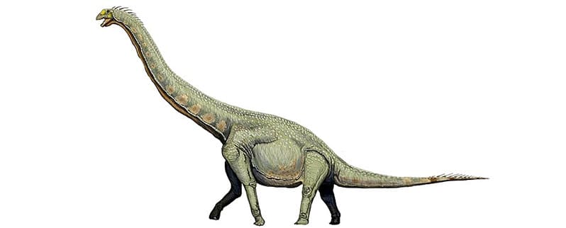 Dinosaurios Grandes Tamanos