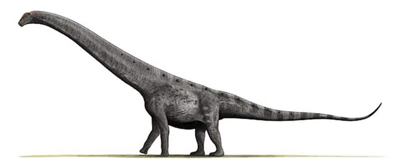 Dinosaurios Grandes