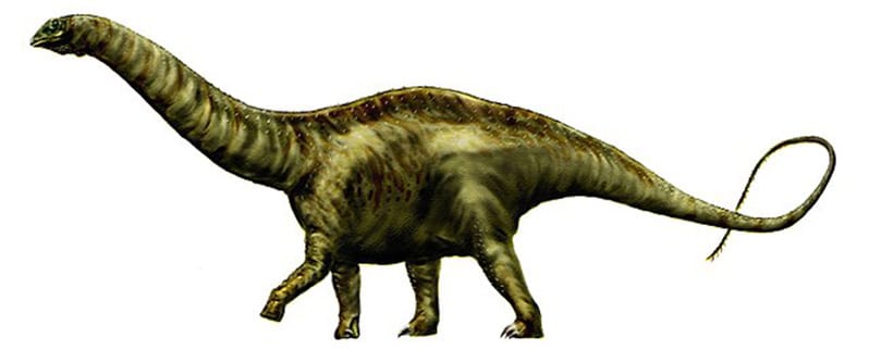 II➤ Dinosaurios Herbívoros II➤ Dinosaurios Herbívoros