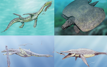 ⭐ Dinosaurios Marinos ⭐ Dinosaurios Marinos