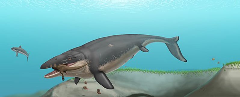 Dinosaurios Marinos Mosasaurios
