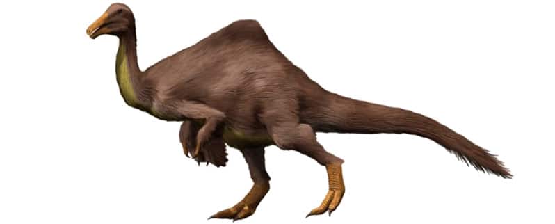 Dinosaurios Omnívoros Dinosaurios Omnívoros