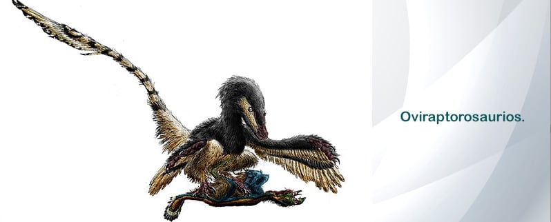 Dinosaurios Omnívoros Oviraptorosaurios