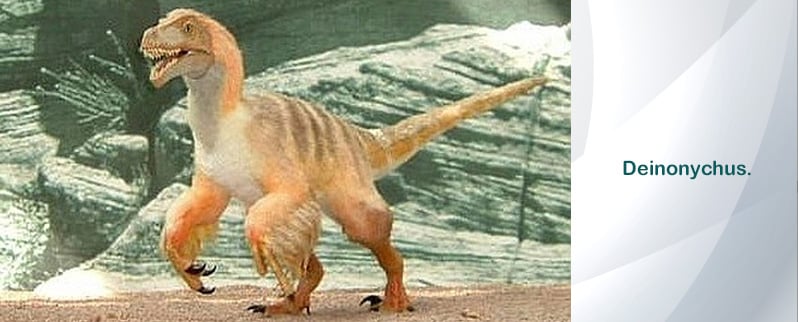 ◁ Dinosaurios Pequeños ◁ Dinosaurios Pequeños