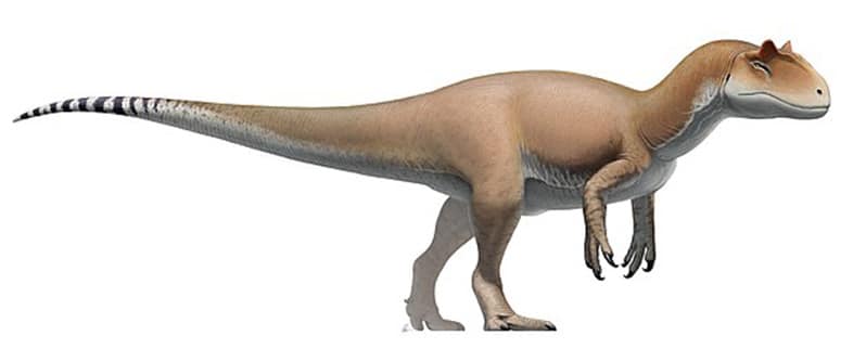 Dinosaurios Pequeños