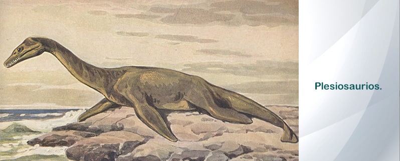 Dinosaurios Terrestres Plesiosaurios