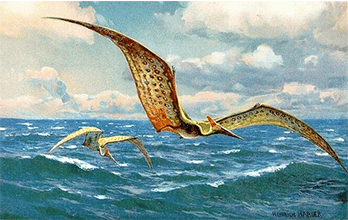 II➤ Dinosaurios voladores II➤ Dinosaurios voladores