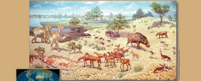 Era Cenozoica mioceno