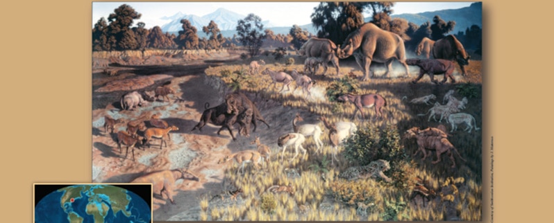 Era Cenozoica oligoceno