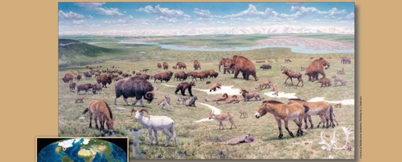 Era Cenozoica pleistoceno