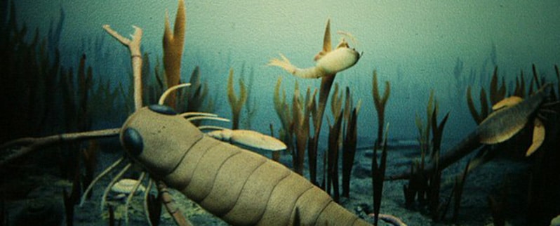 Era Paleozoica