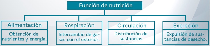 Funciones vitales de los seres vivos para niños