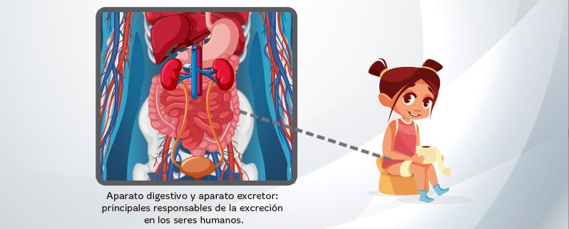 Funciones vitales de los seres vivos