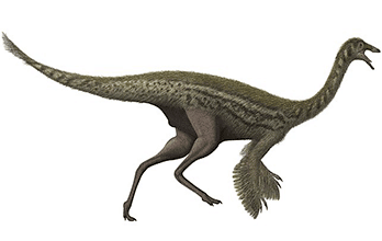 Gallimimus