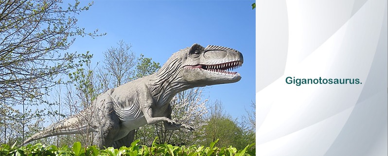 Megalosaurus Vs Giganotosaurus