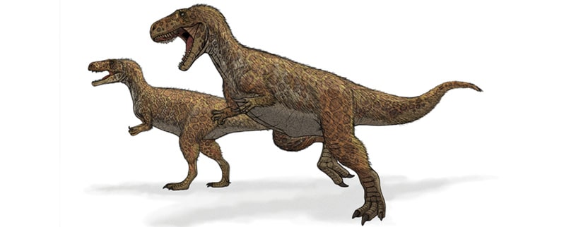 Megalosaurus