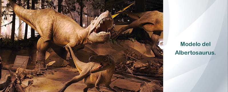 Modelo Albertosaurus