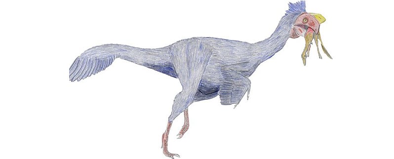Oviraptor Alimentación