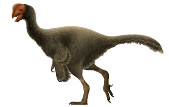Oviraptor