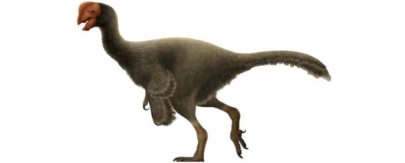 Oviraptor