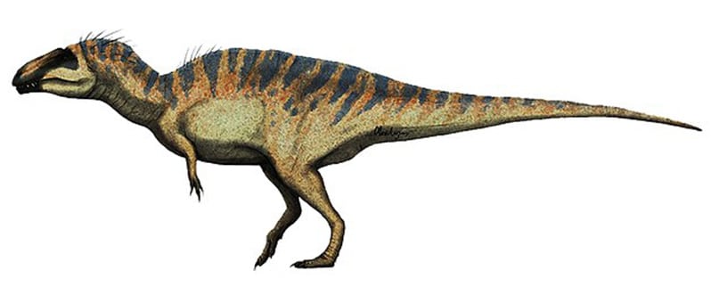 Período Cretácico acrocantosaurio